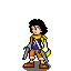 flapyusopp