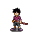 zoroblech (aekaider)